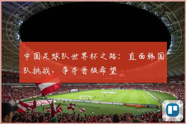 中国足球队世界杯之路:直面韩国队挑战,争夺晋级希望