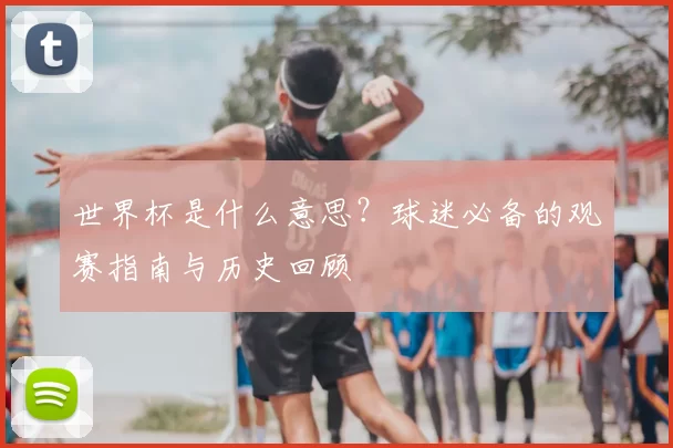 世界杯是什么意思?球迷必备的观赛指南与历史回顾