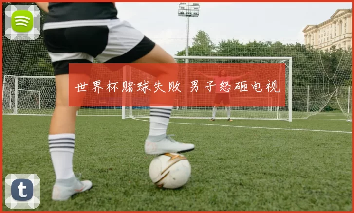世界杯赌球失败 男子怒砸电视