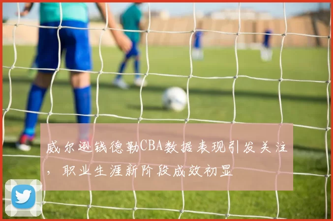 威尔逊钱德勒CBA数据表现引发关注,职业生涯新阶段成效初显