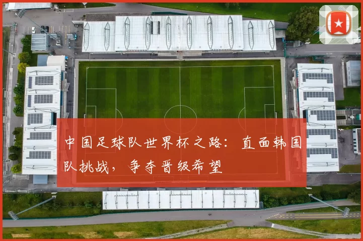 中国足球队世界杯之路:直面韩国队挑战,争夺晋级希望