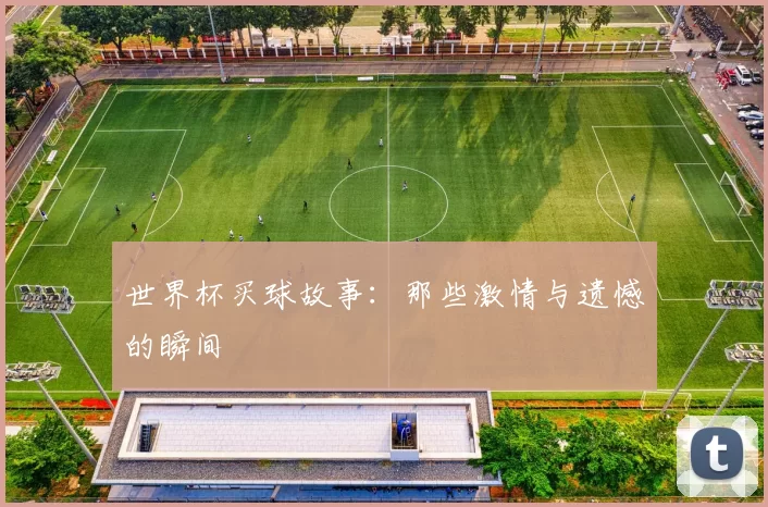 世界杯买球故事:那些激情与遗憾的瞬间