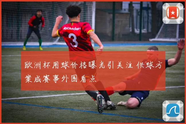 欧洲杯用球价格曝光引关注 供球方案成赛事外围看点