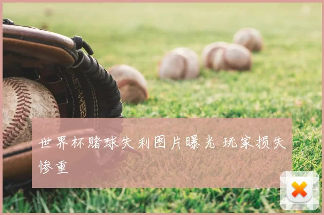 世界杯赌球失利图片曝光 玩家损失惨重