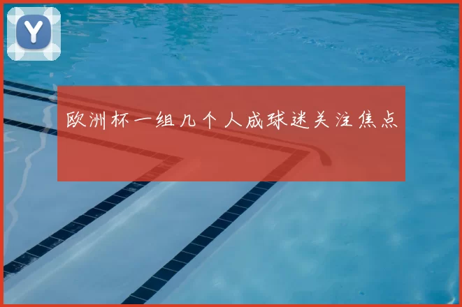 欧洲杯一组几个人成球迷关注焦点