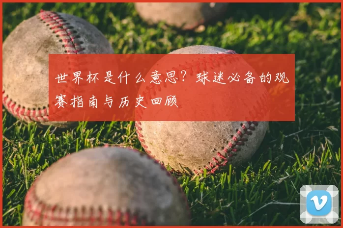 世界杯是什么意思?球迷必备的观赛指南与历史回顾