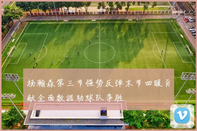 杨瀚森第三节强势反弹末节回暖贡献全面数据助球队争胜