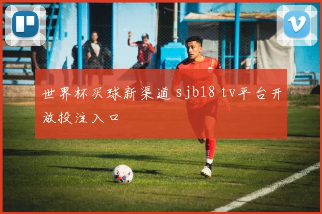 世界杯买球新渠道 sjb18 tv平台开放投注入口