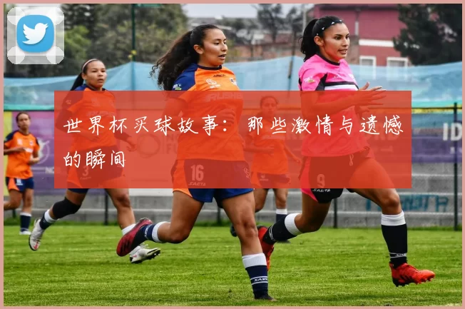 世界杯买球故事:那些激情与遗憾的瞬间