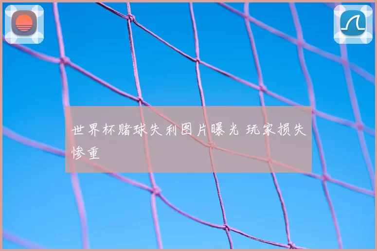 世界杯赌球失利图片曝光 玩家损失惨重
